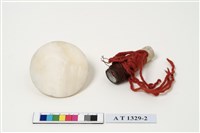 藏品(男子蕈狀貝片耳飾)的圖片